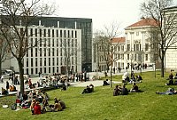 Rasenfläche mit Blick auf das Juridicum