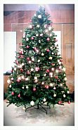 Weihnachtsbaum im Juridicum 2013