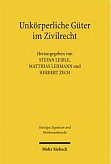 Unkörperliche Güter im Zivilrecht
